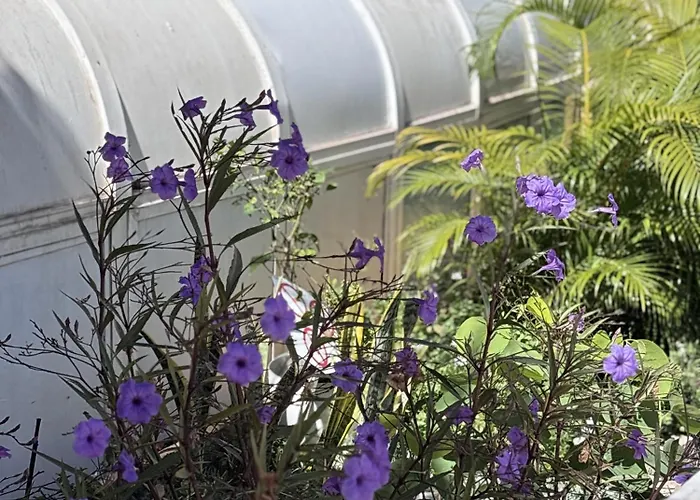 Sea & Pool Hideaway Apartman Costa Adeje (Tenerife)